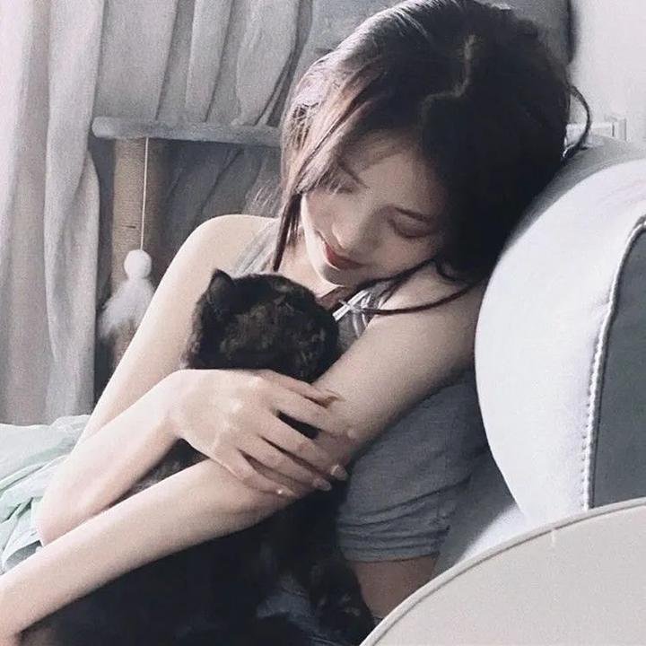 救援狗